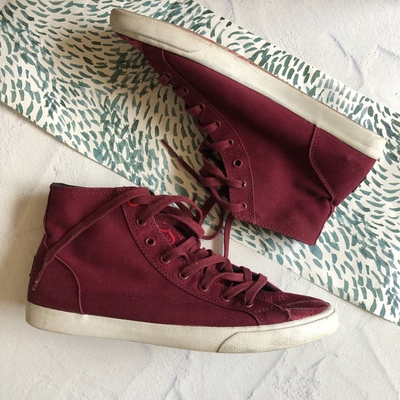 Bucket Feet Catscratch High Tops 8 - Picture 2 of 7